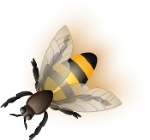 bee3